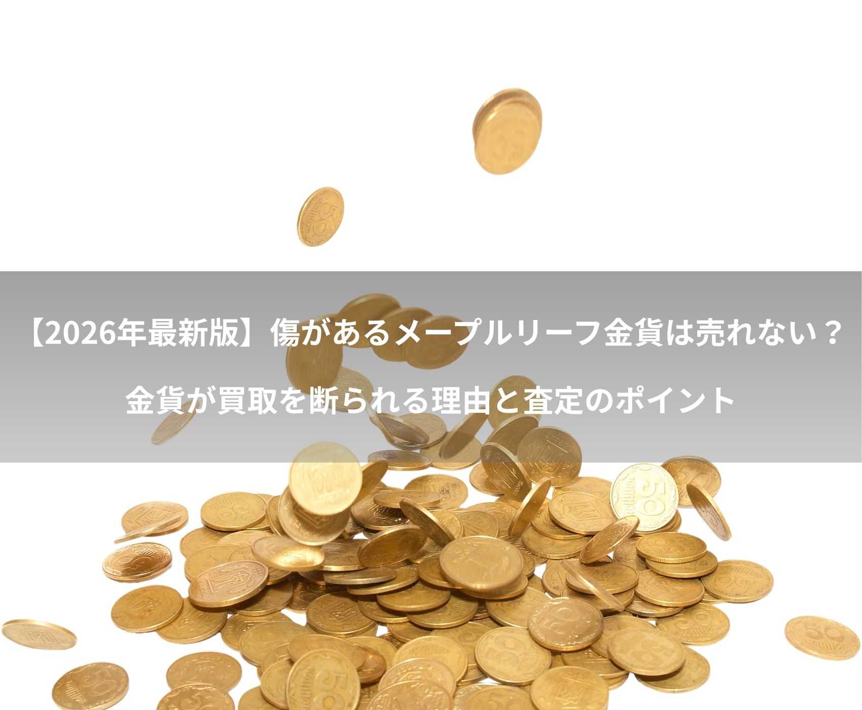 ゴールドウィンのイメージ画像